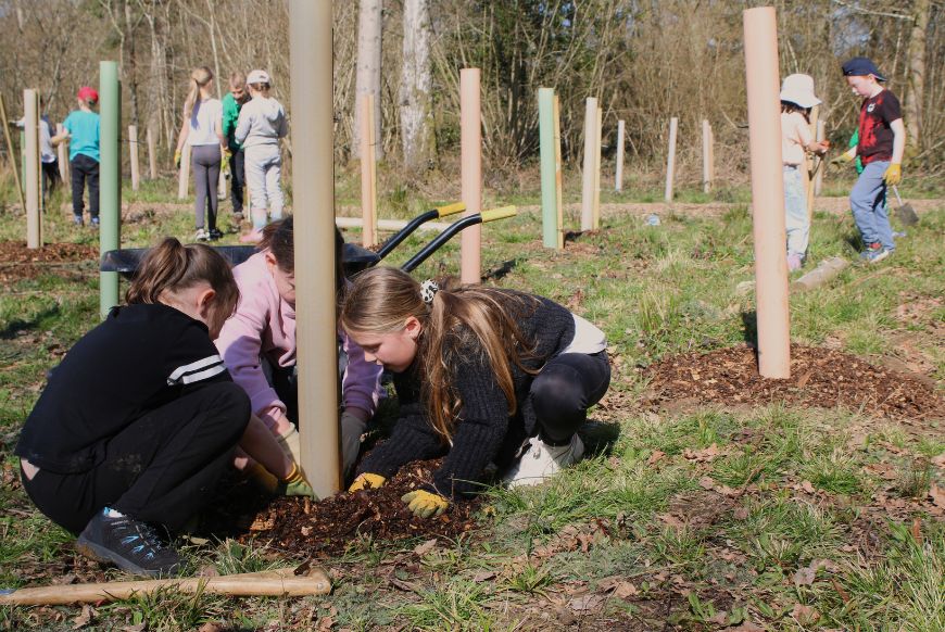 children digging in the dirt